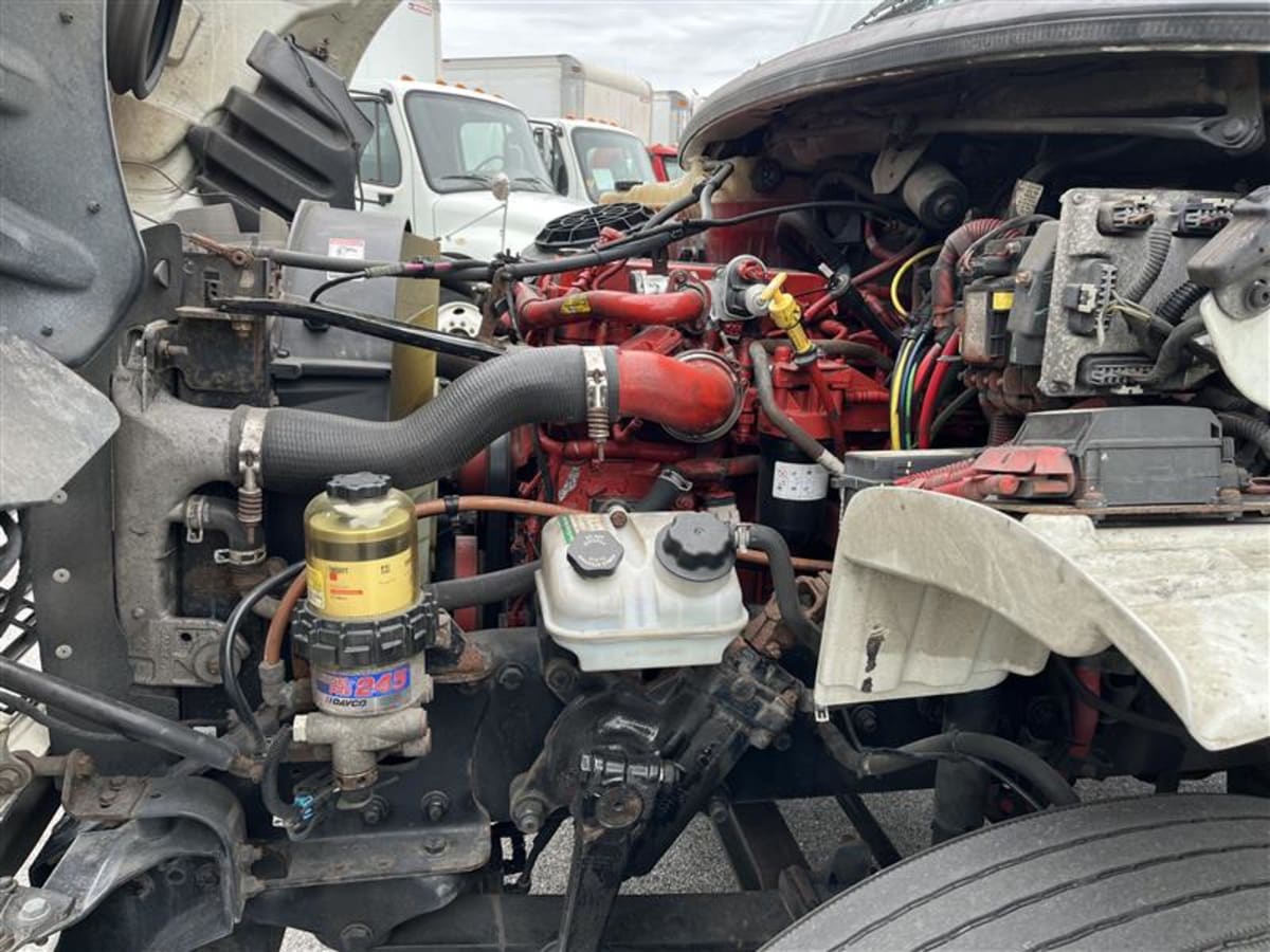 2019 Freightliner/Mercedes M2 106 878644