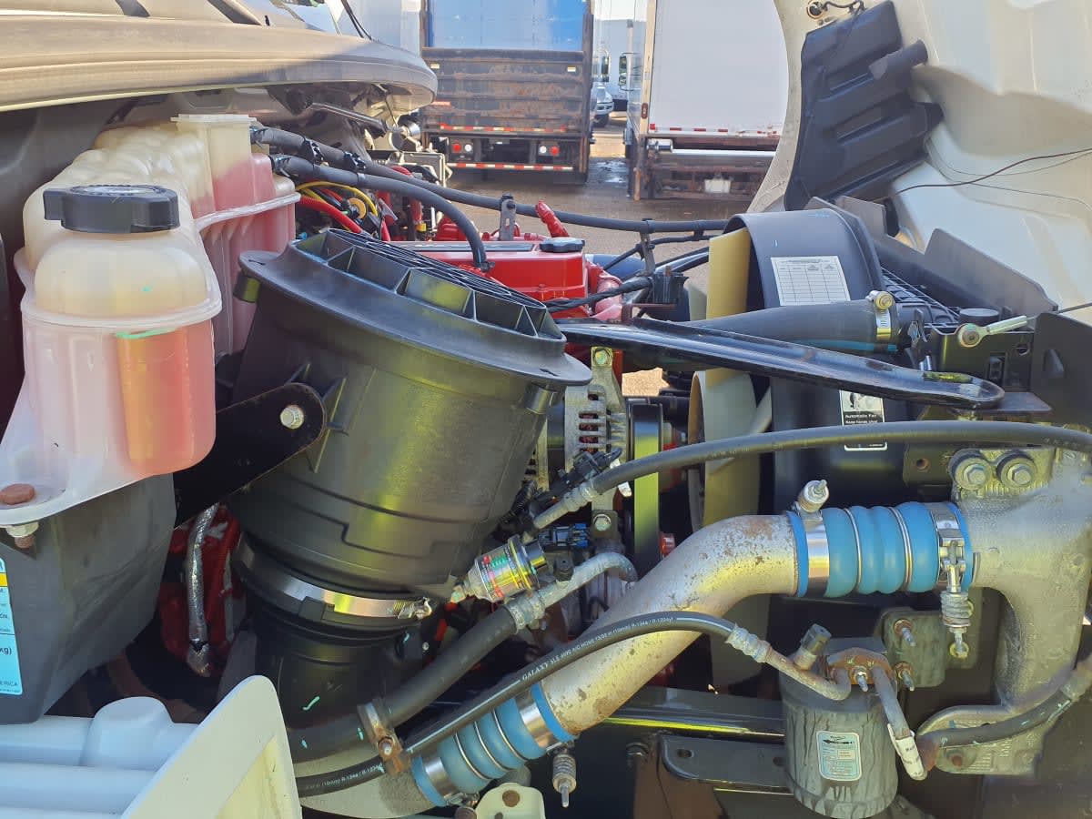 2019 Freightliner/Mercedes M2 106 878653