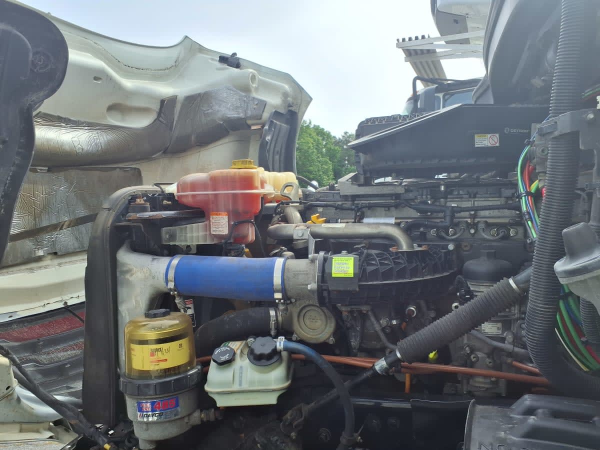 2020 Freightliner/Mercedes NEW CASCADIA PX12664 878773