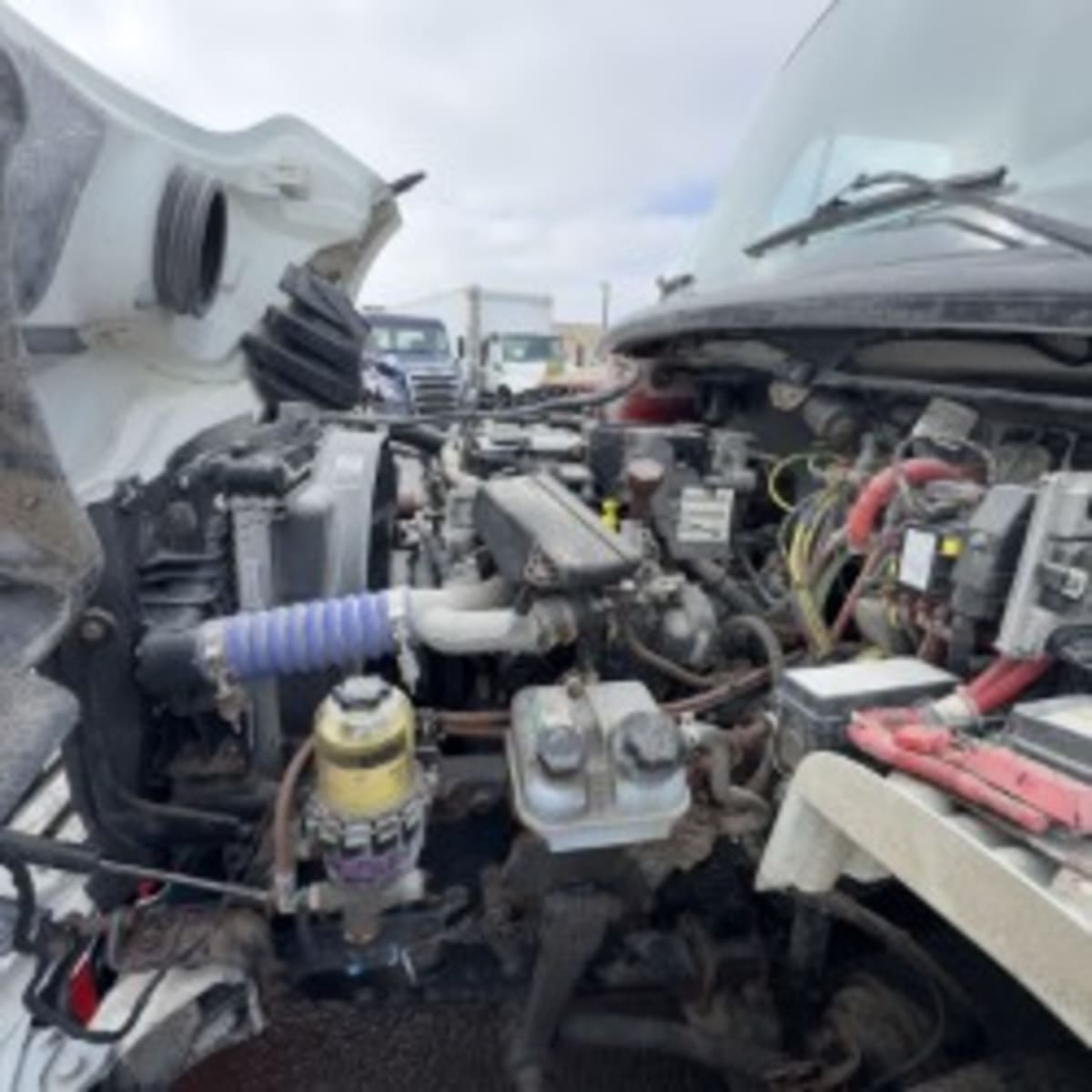 2019 Freightliner/Mercedes M2 106 878882