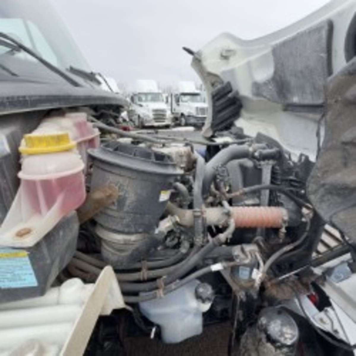 2019 Freightliner/Mercedes M2 106 878882