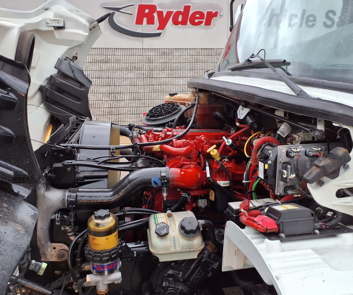 2019 Freightliner/Mercedes M2 106 879138