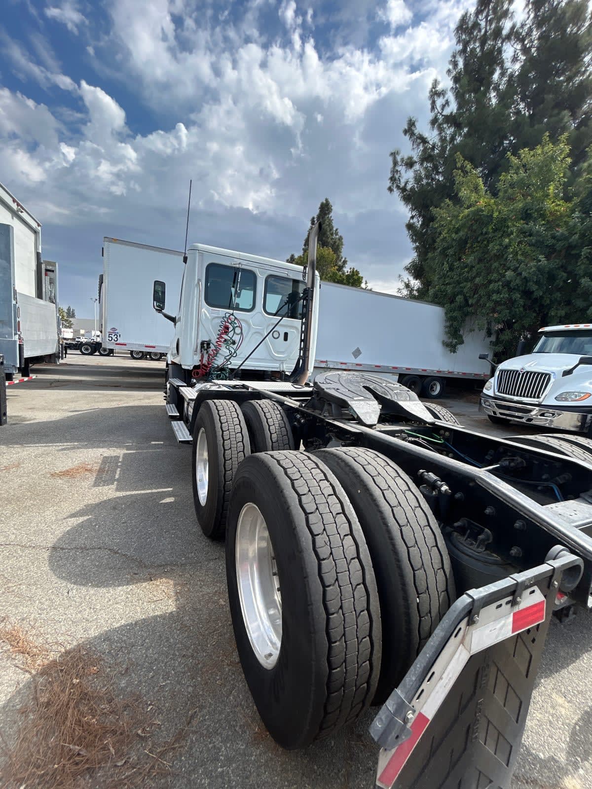 2019 Freightliner/Mercedes NEW CASCADIA 116 879220