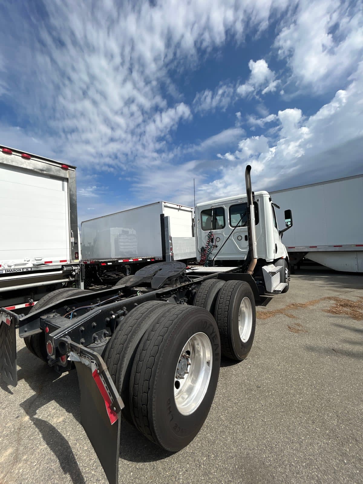 2019 Freightliner/Mercedes NEW CASCADIA 116 879220