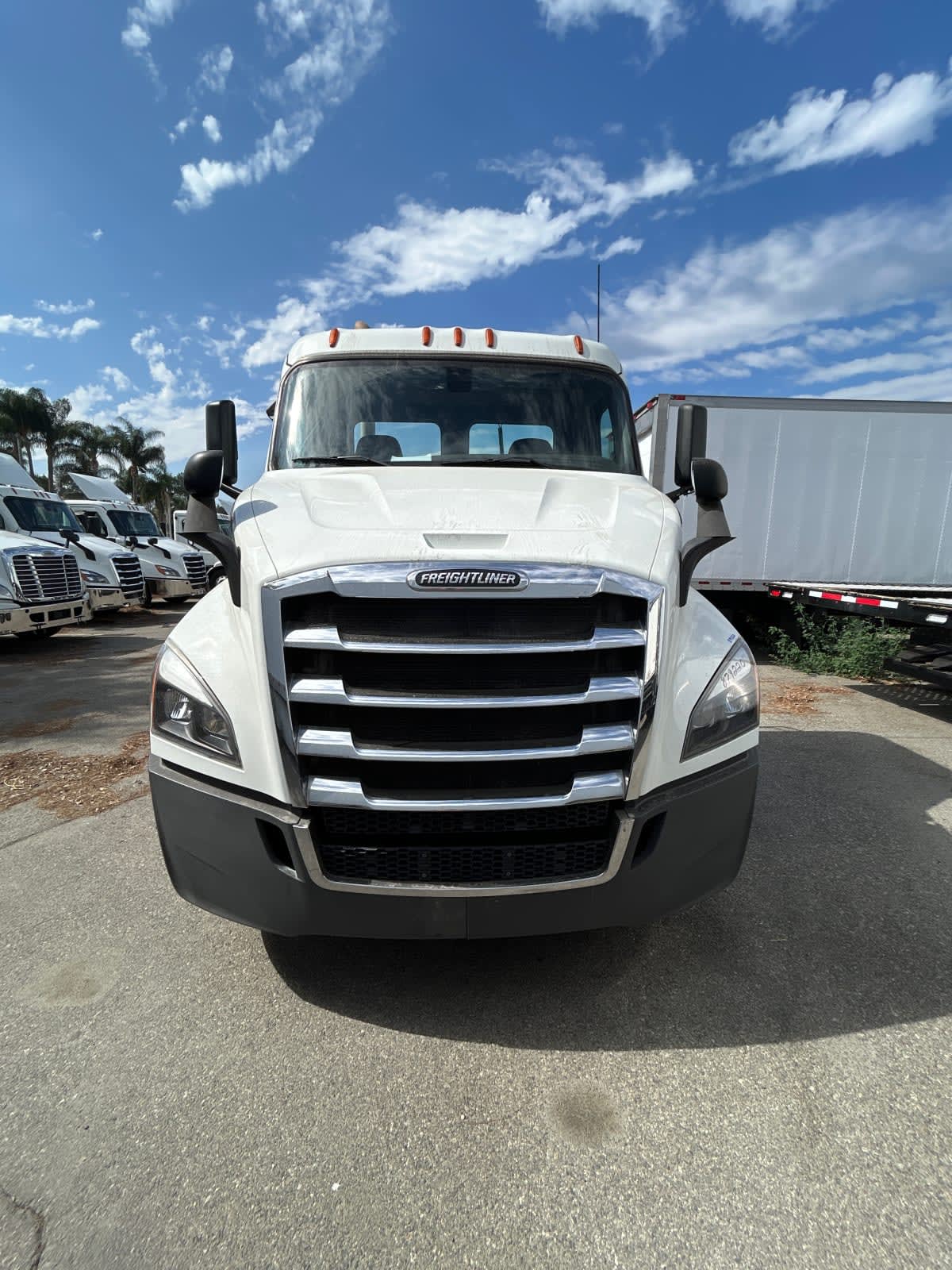 2019 Freightliner/Mercedes NEW CASCADIA 116 879220