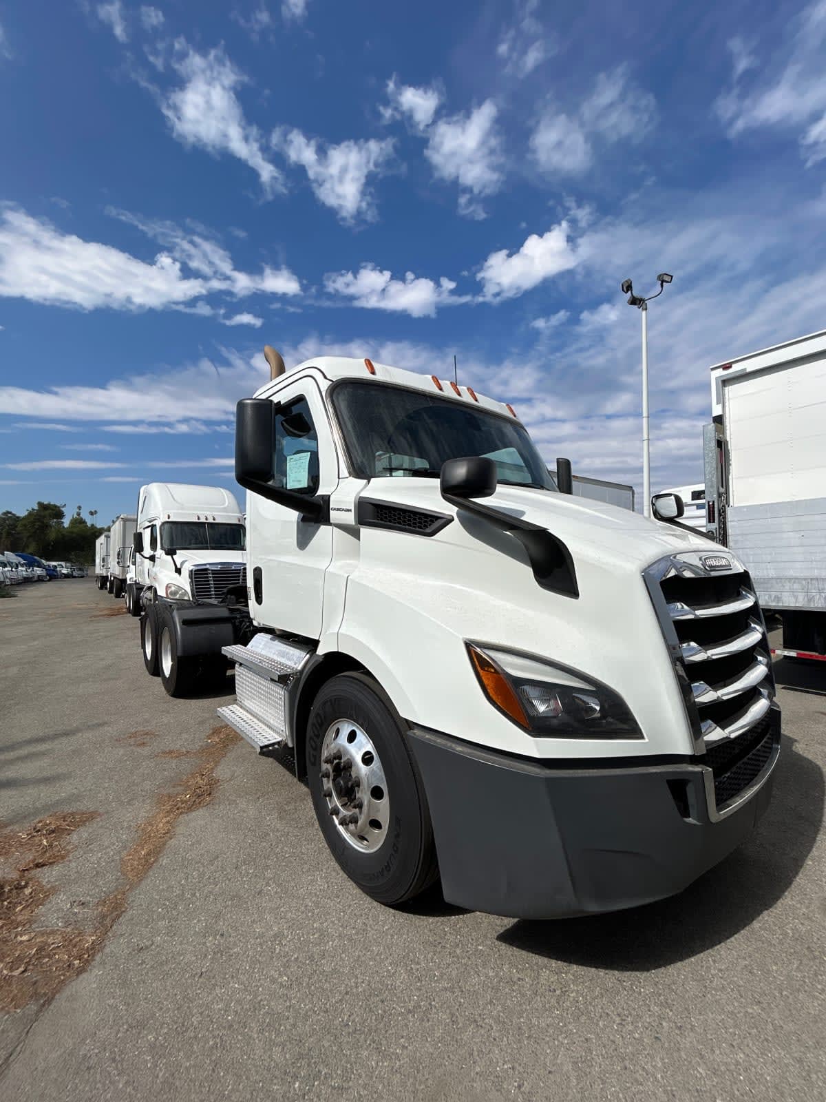 2019 Freightliner/Mercedes NEW CASCADIA 116 879220