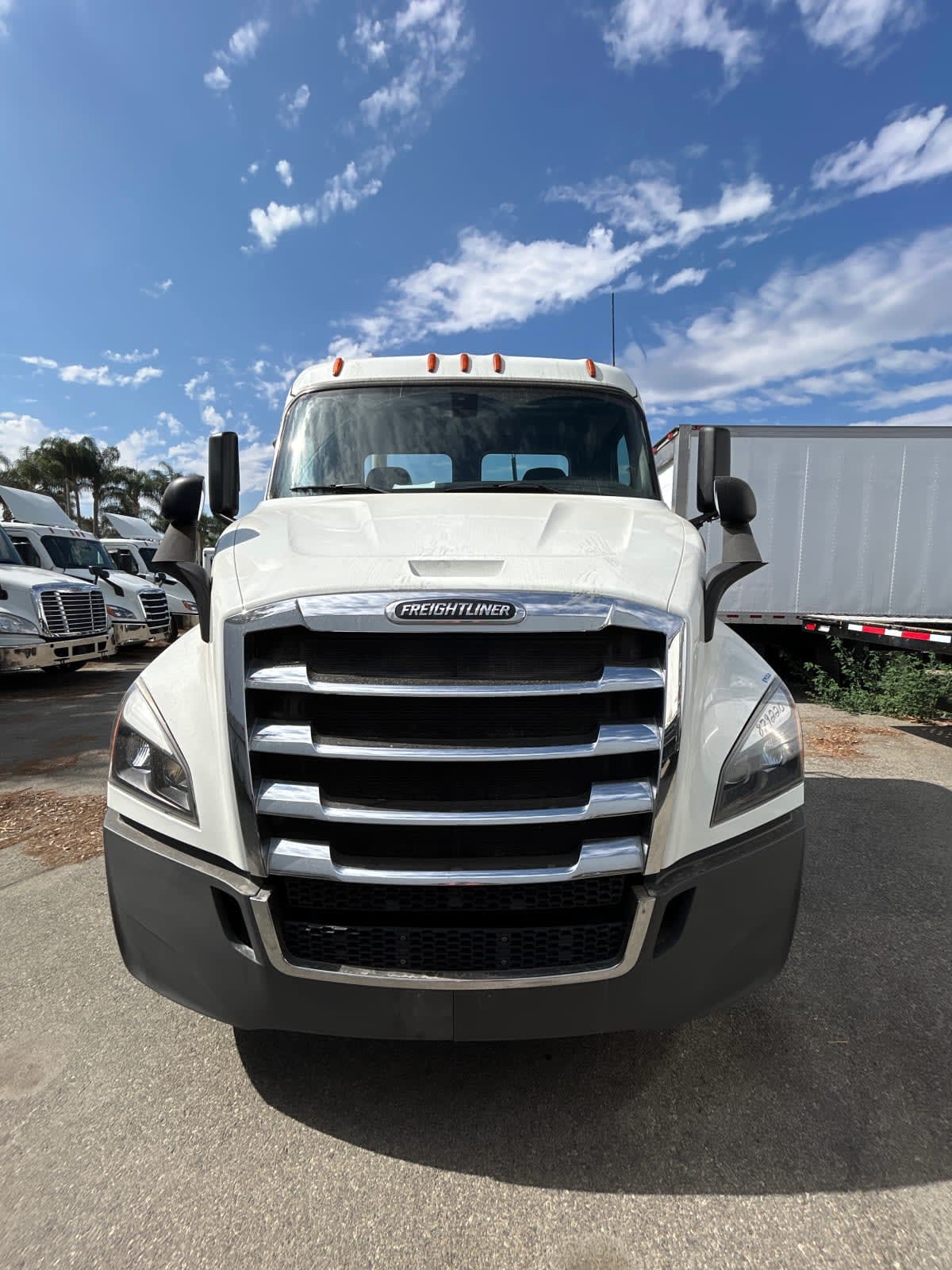 2019 Freightliner/Mercedes NEW CASCADIA 116 879220