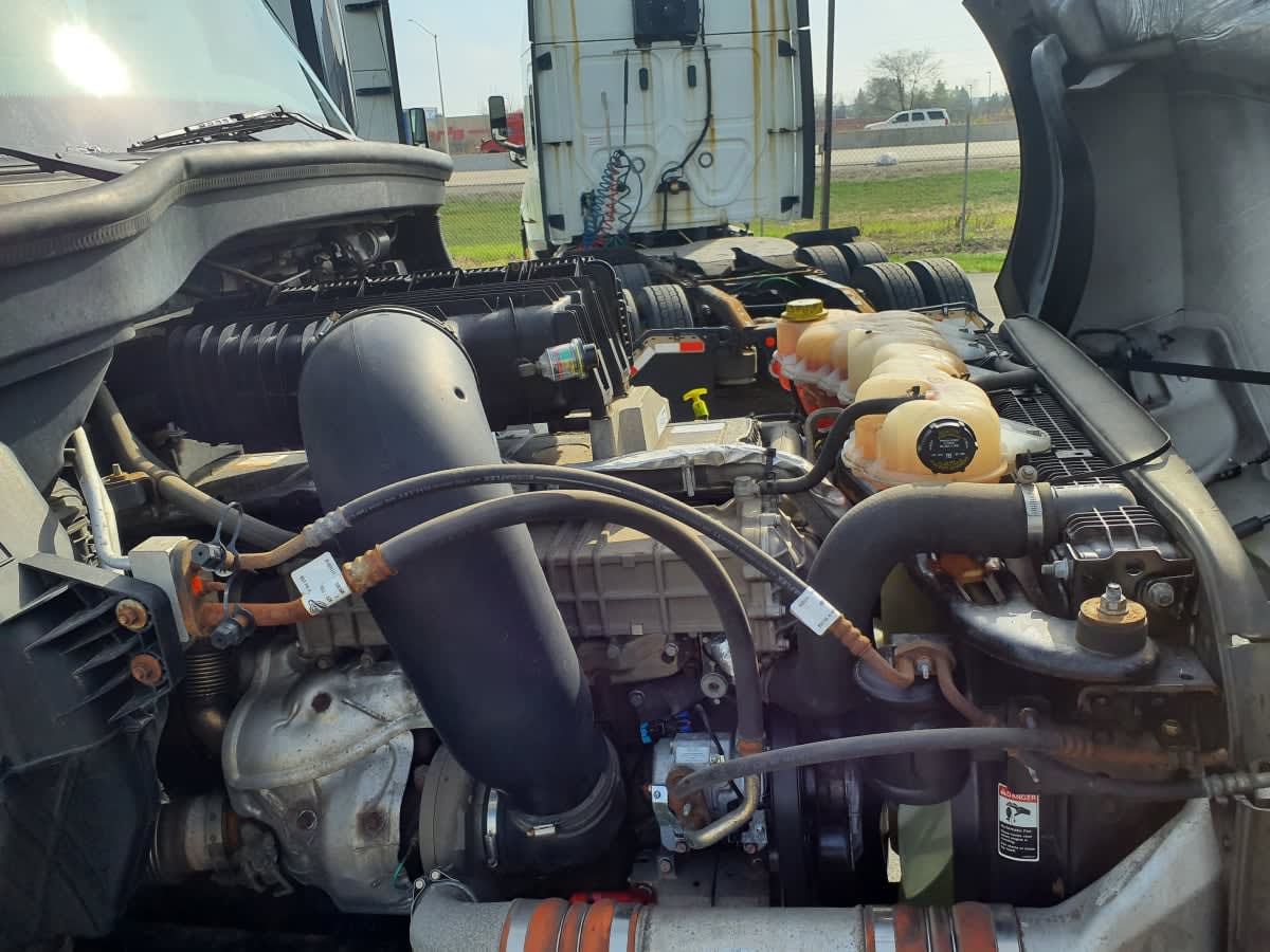 2020 Freightliner/Mercedes NEW CASCADIA PX12664 879281