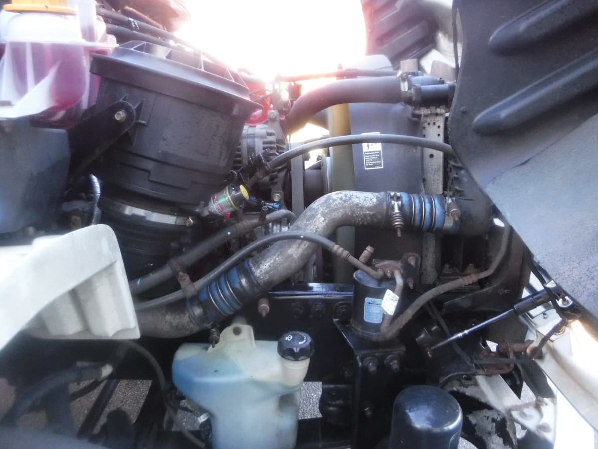 2019 Freightliner/Mercedes M2 106 879304