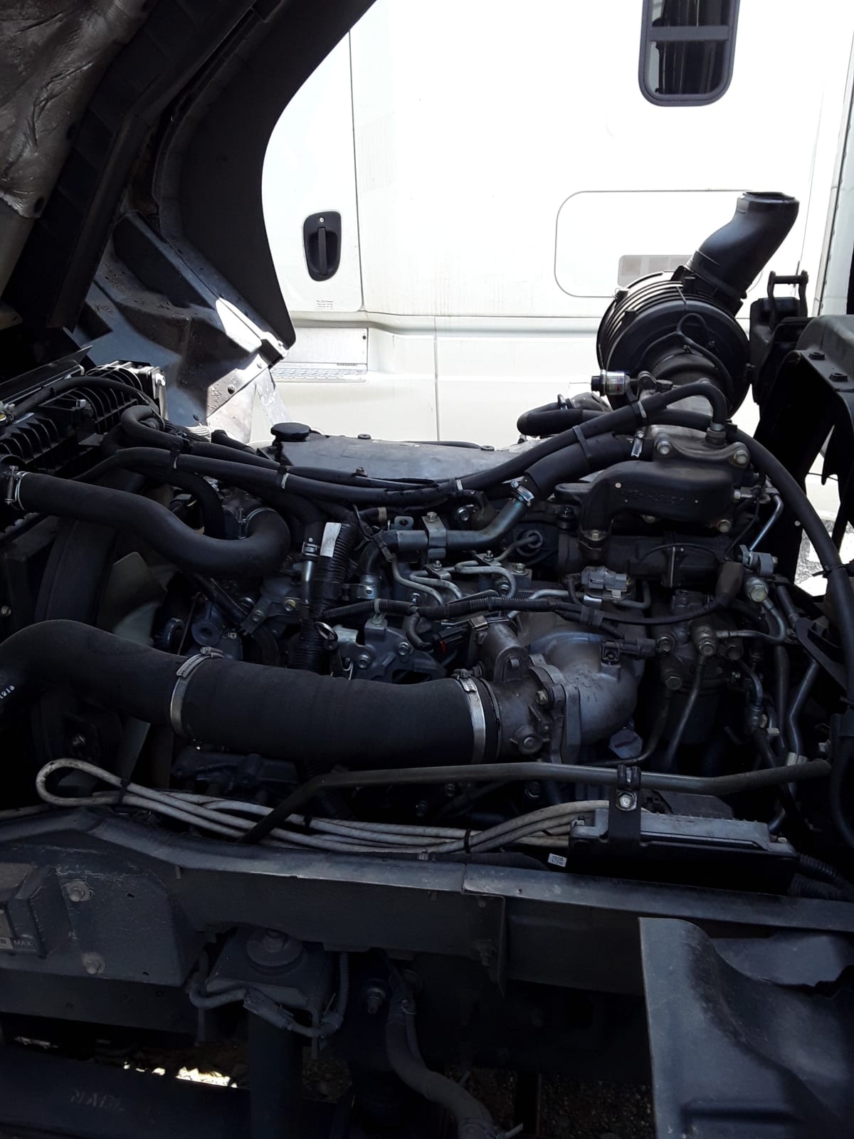 2019 Isuzu FTR 879514