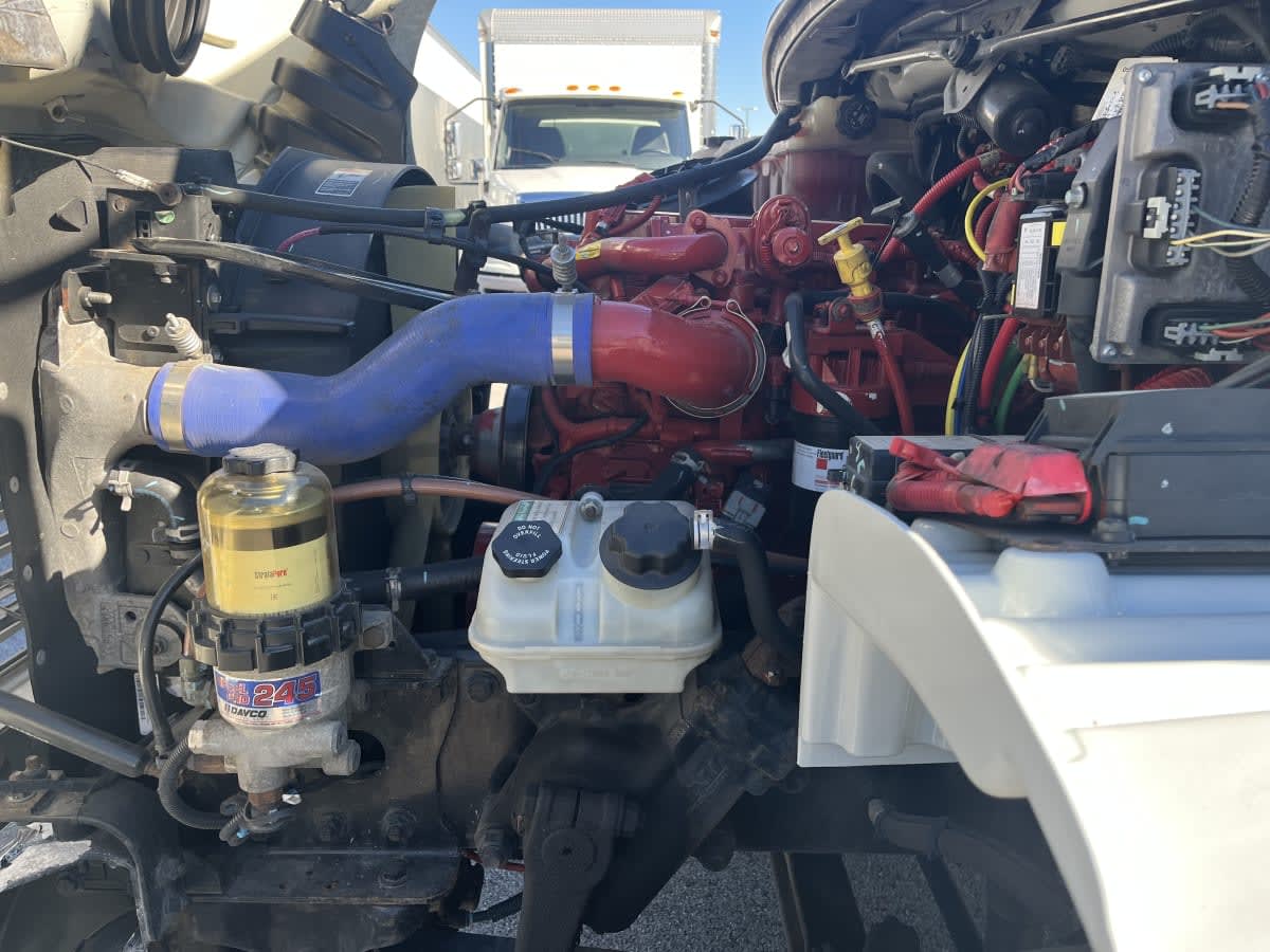 2019 Freightliner/Mercedes M2 106 879604