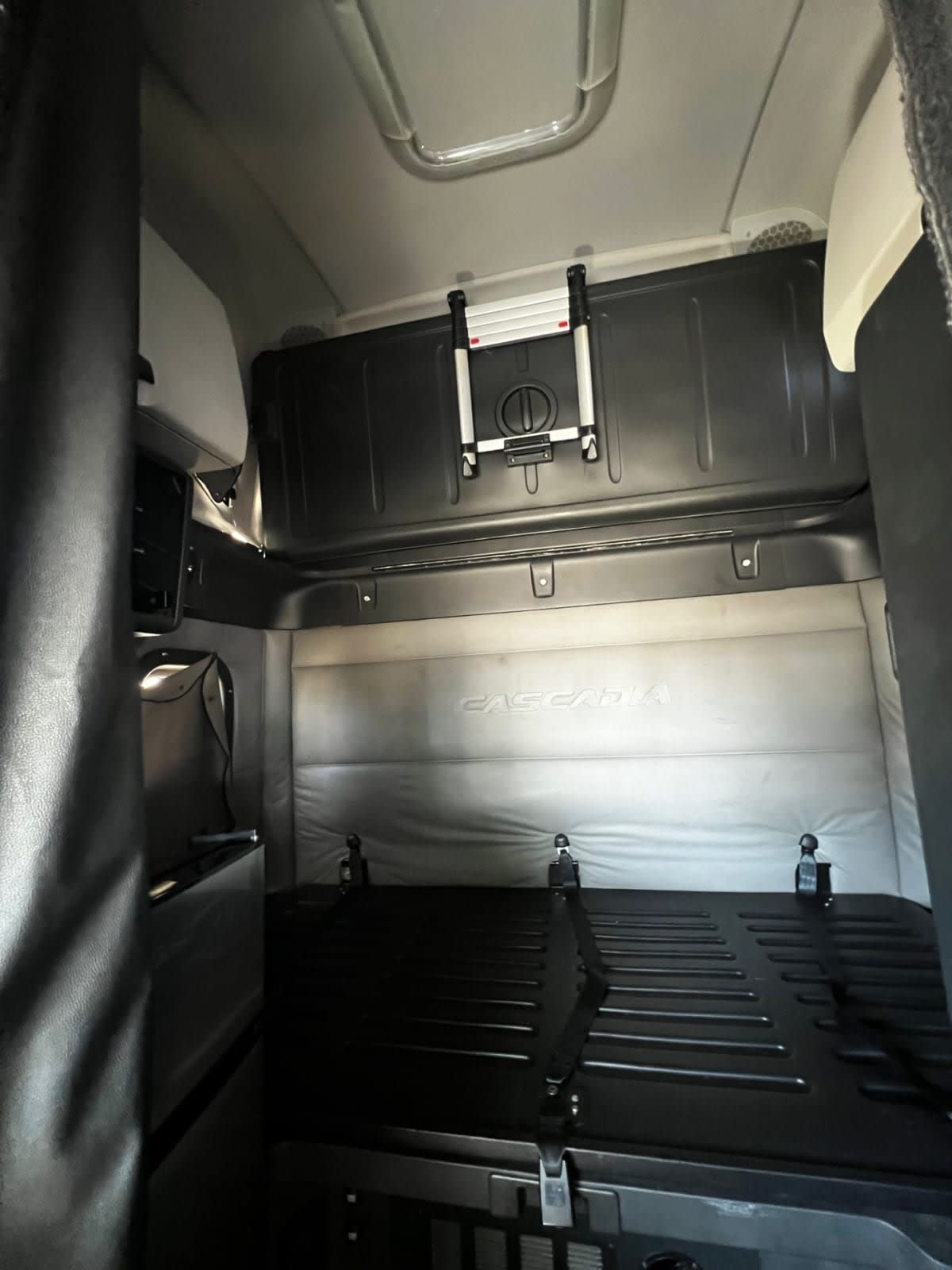 2020 Freightliner Cascadia in West Sacramento, CA — photo 8