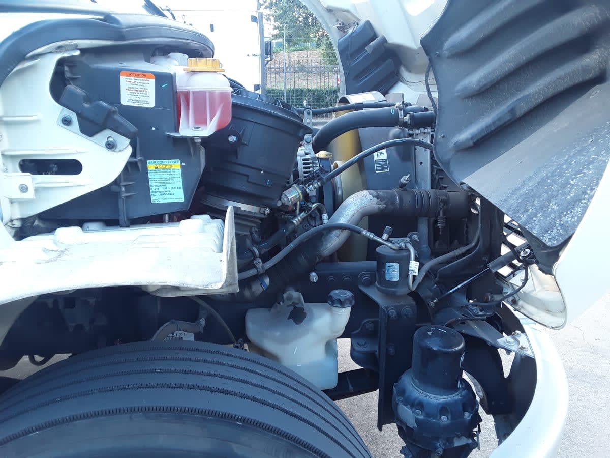 2019 Freightliner/Mercedes M2 106 879668