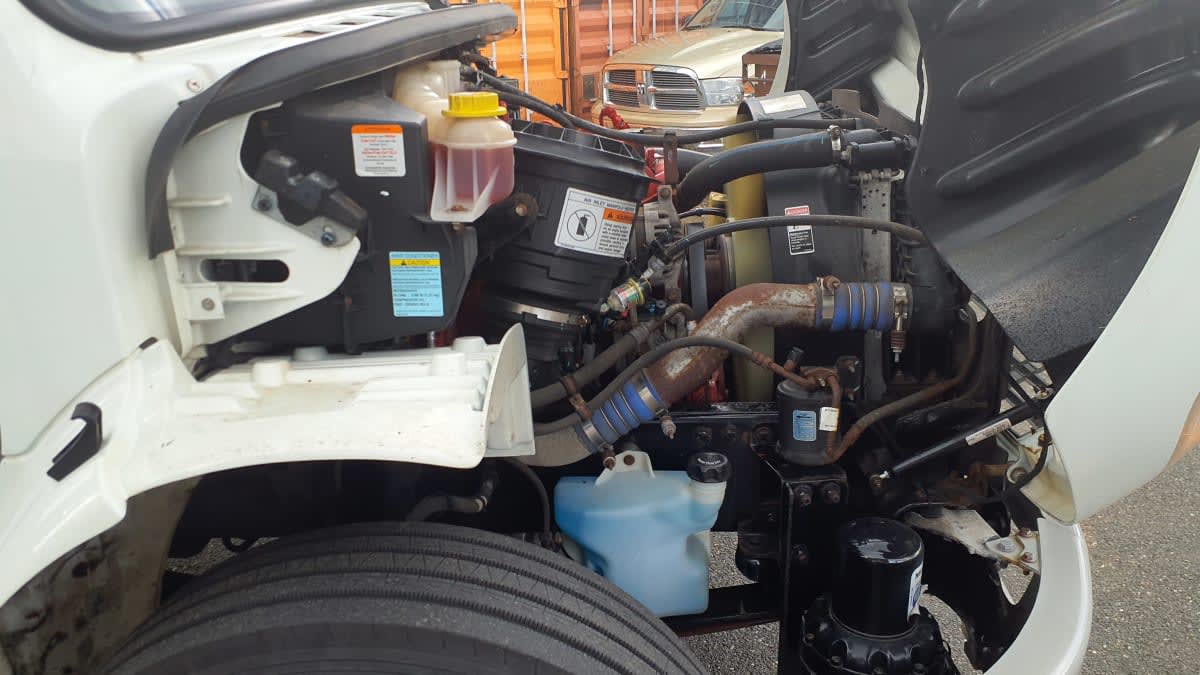 2019 Freightliner/Mercedes M2 106 879713