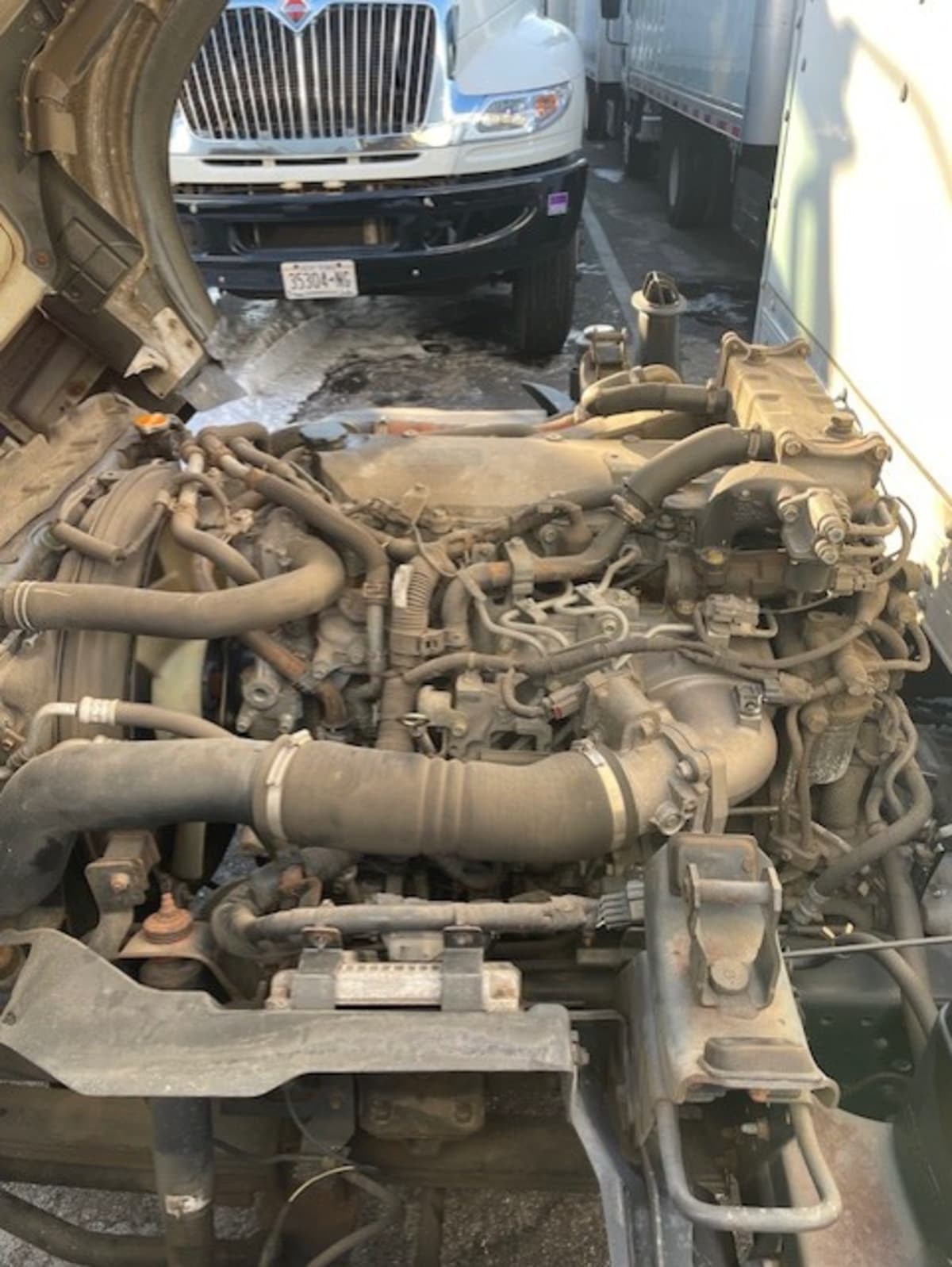 2019 Isuzu NQR 879719