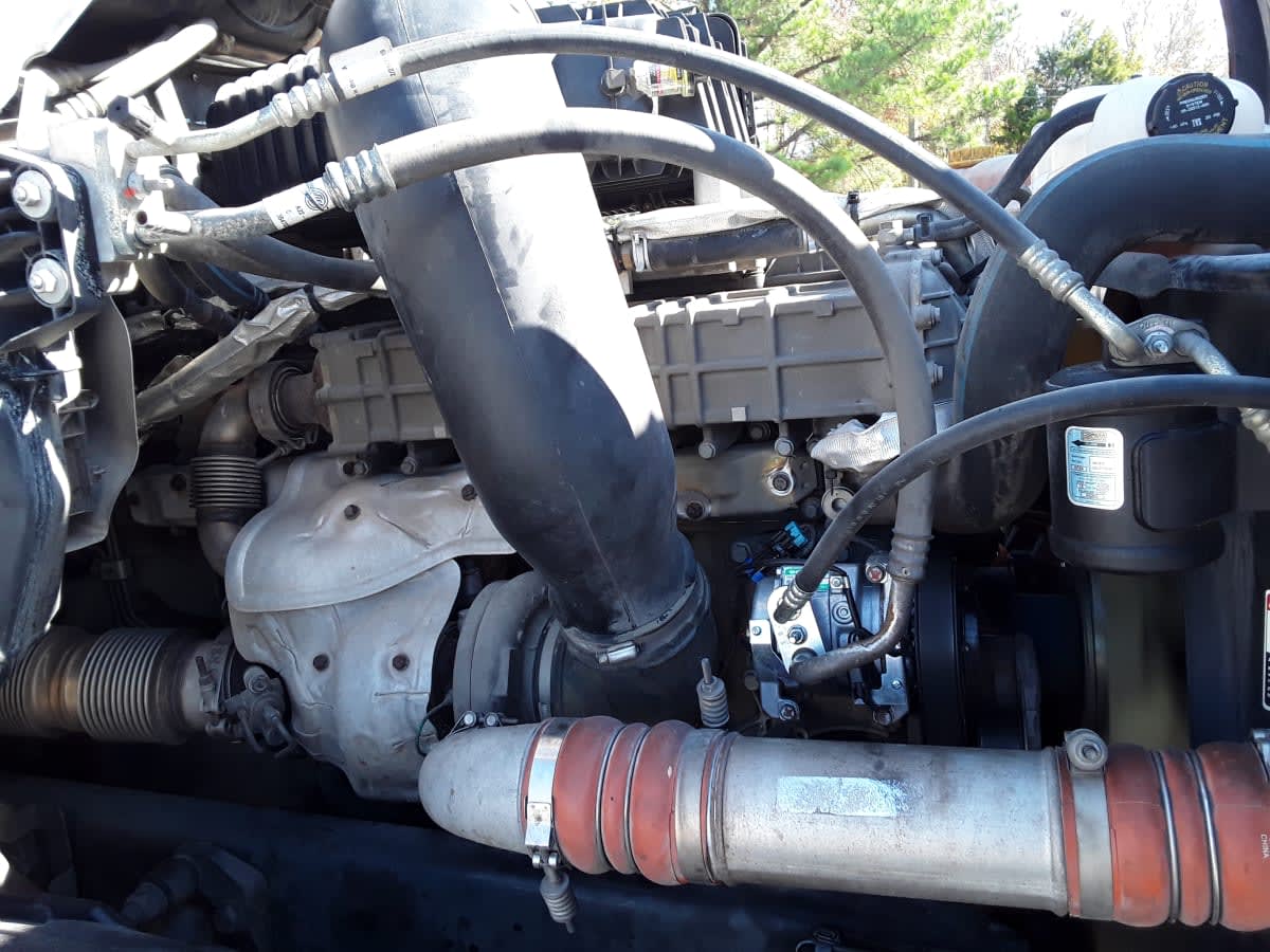 2020 Freightliner - image 7