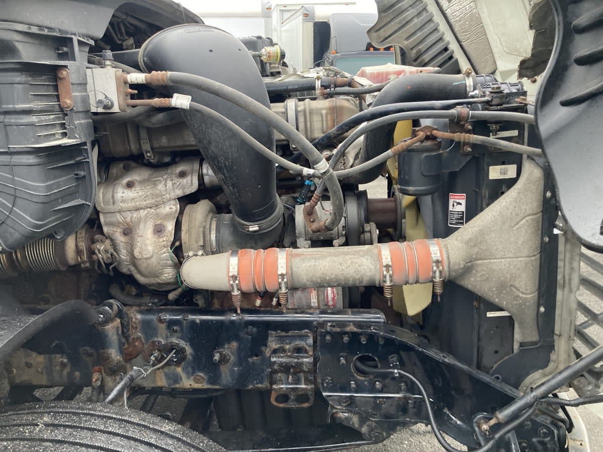 2020 Freightliner/Mercedes CASCADIA 125 879765