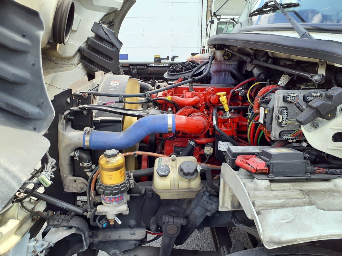 2019 Freightliner/Mercedes M2 106 879788