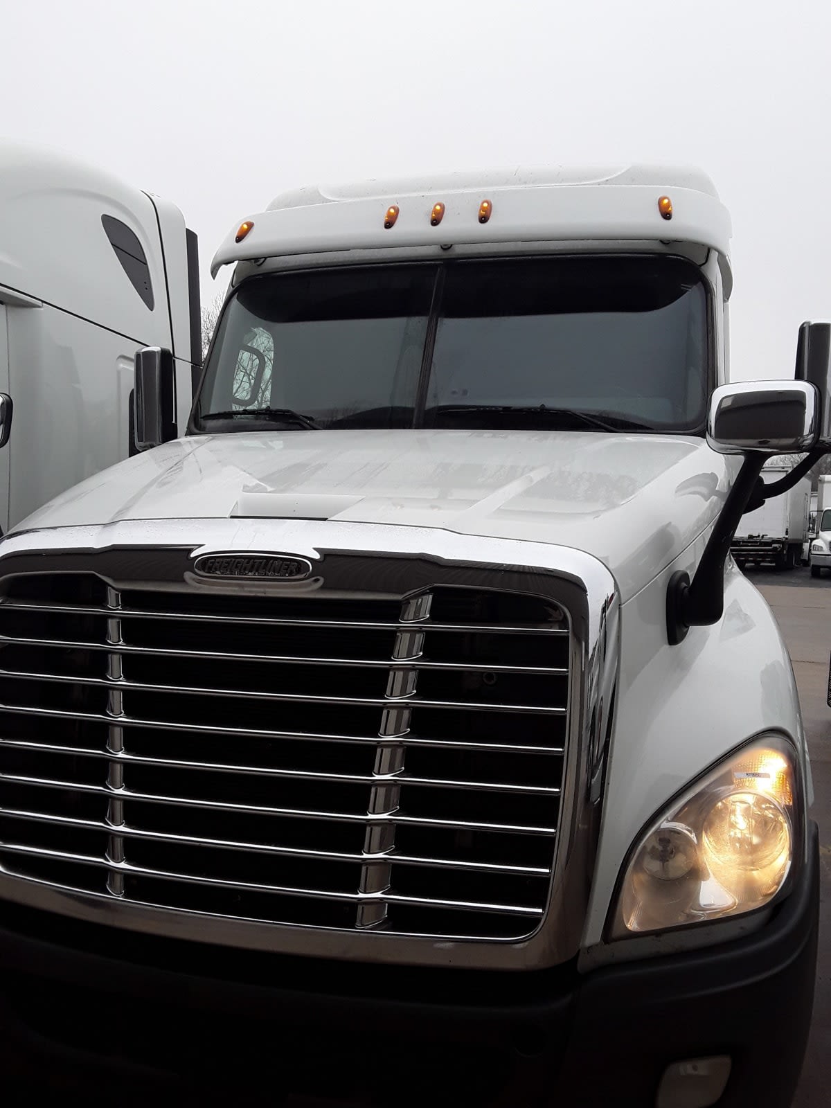 2020 Freightliner/Mercedes CASCADIA 125 879950