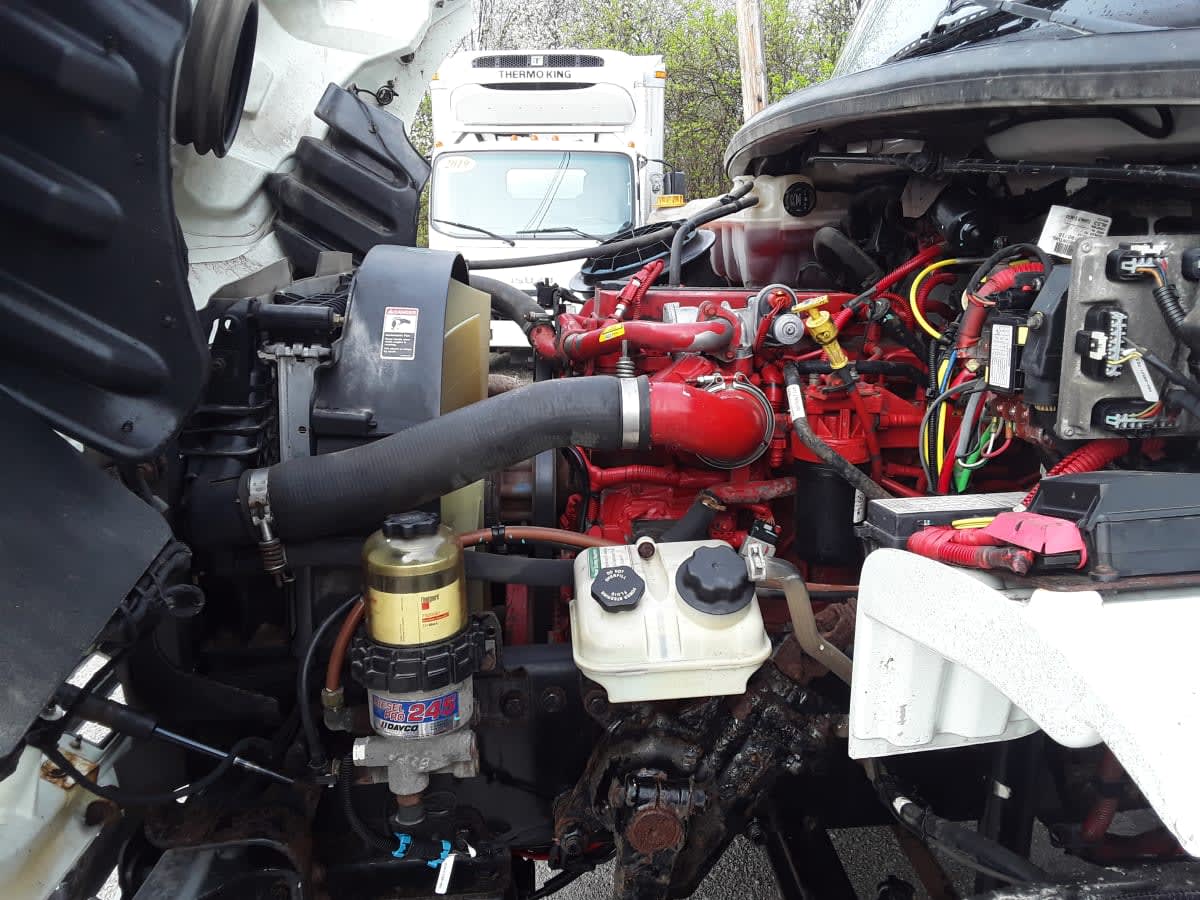 2019 Freightliner/Mercedes M2 106 880066