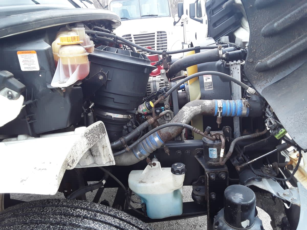 2019 Freightliner/Mercedes M2 106 880067