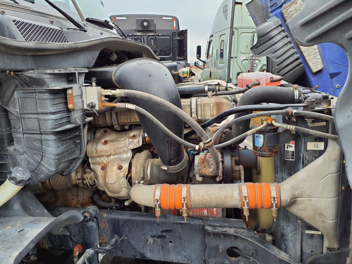 2020 Freightliner/Mercedes CASCADIA 125 880141