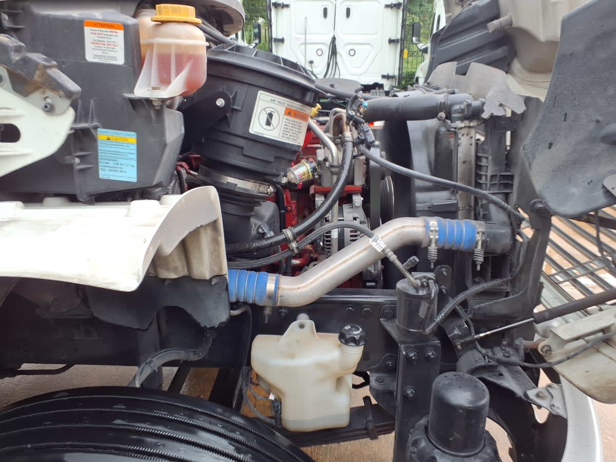 2019 Freightliner/Mercedes M2 106 880161