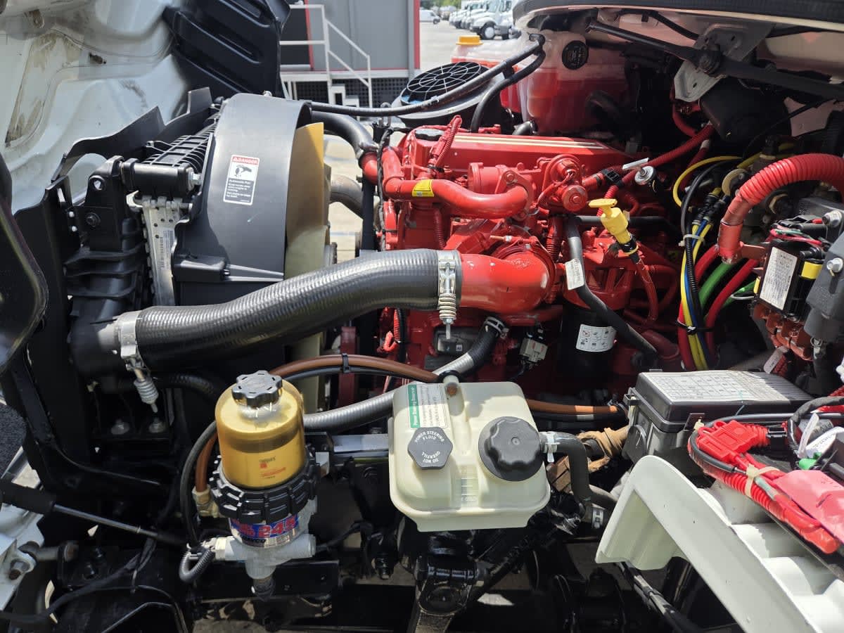 2019 Freightliner/Mercedes M2 106 880177