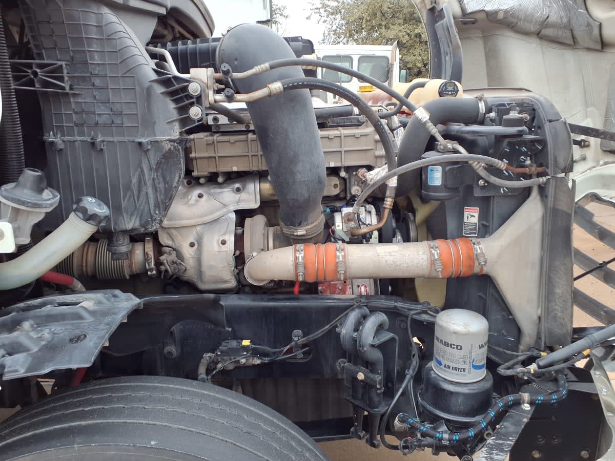 2020 Freightliner/Mercedes NEW CASCADIA PX12664 880418