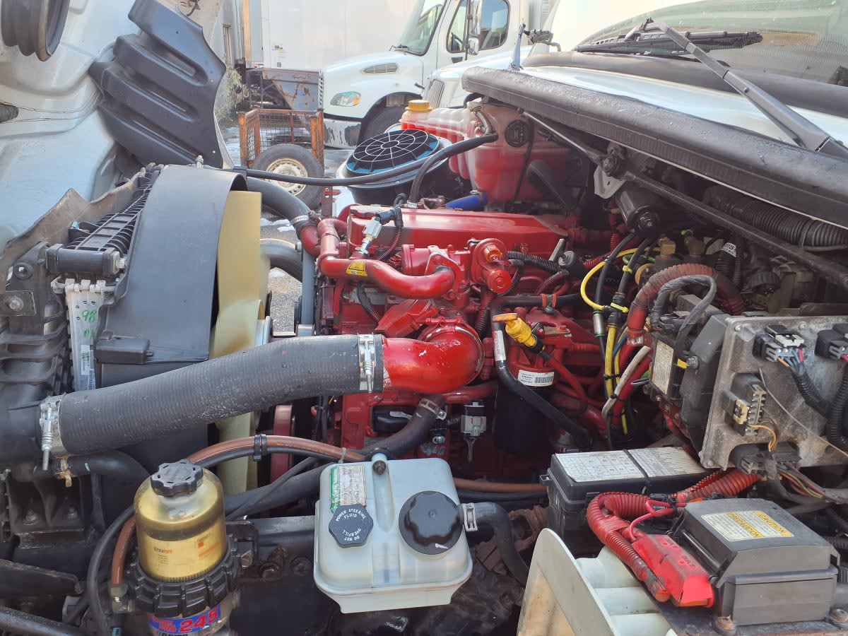 2020 Freightliner/Mercedes M2 106 880430