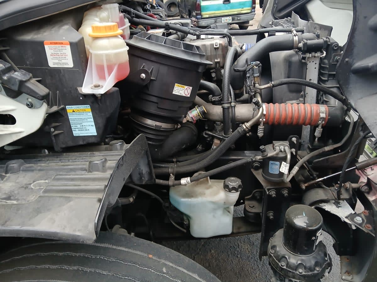 2019 Freightliner/Mercedes M2 106 880543