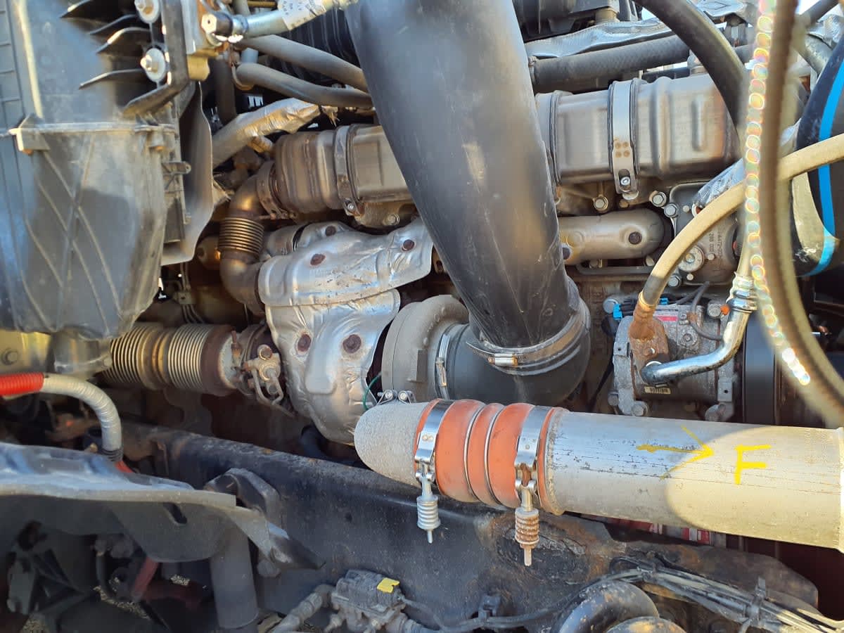 2020 Freightliner/Mercedes NEW CASCADIA PX12664 880709