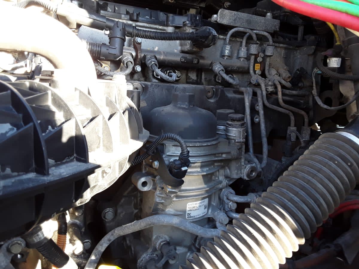 2020 Freightliner/Mercedes NEW CASCADIA PX12664 880711