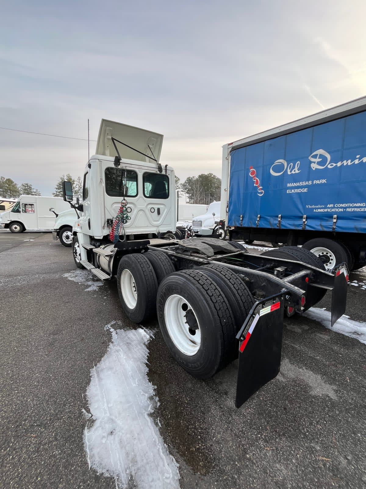 2020 Freightliner/Mercedes CASCADIA 125 880786