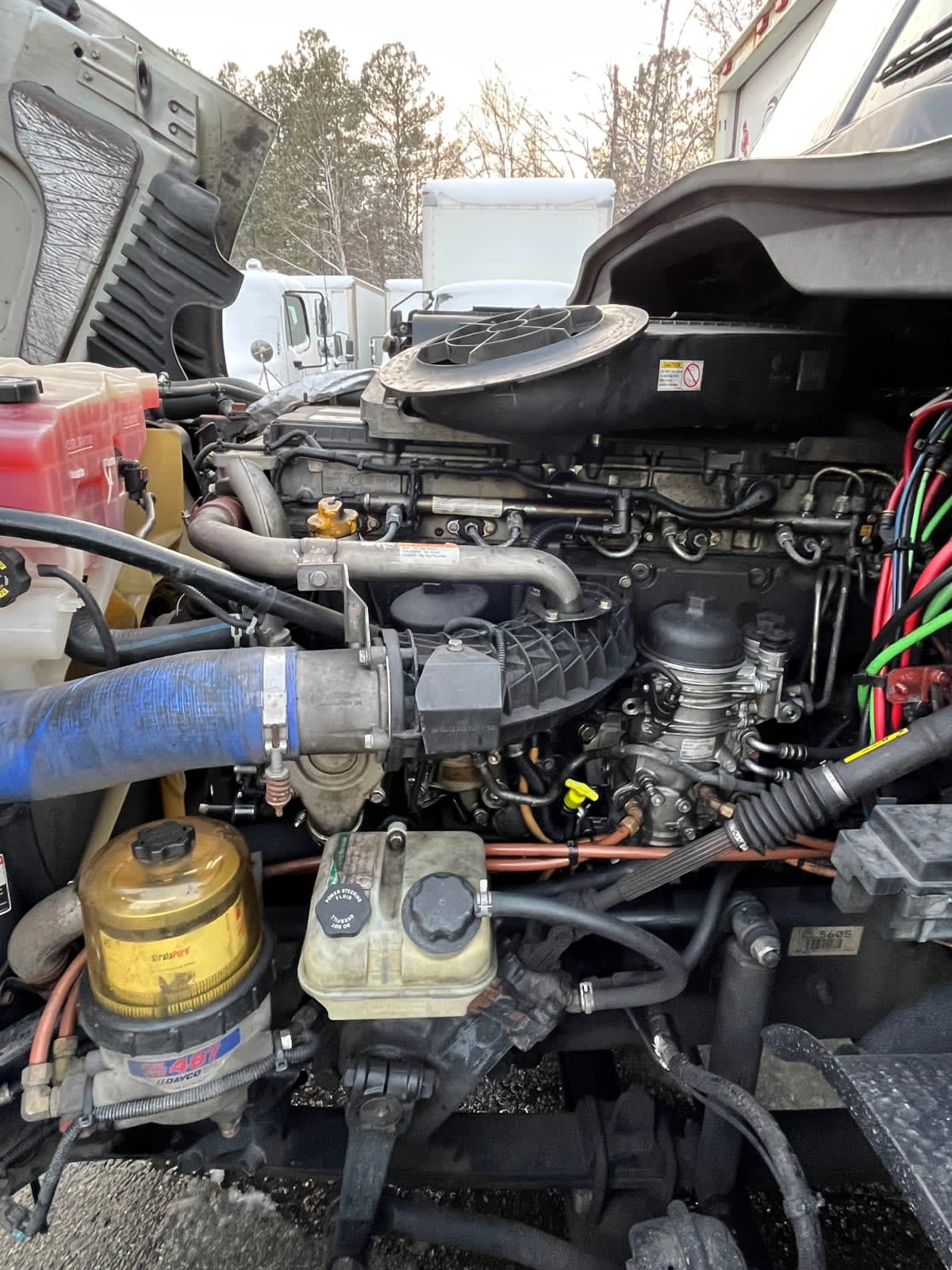 2020 Freightliner/Mercedes CASCADIA 125 880786