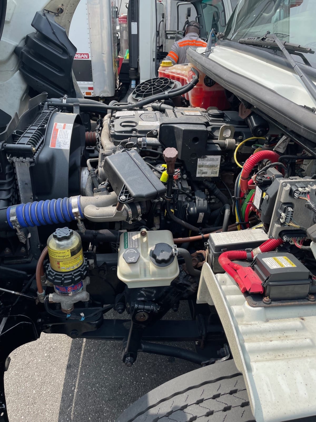 2019 Freightliner/Mercedes M2 106 880828