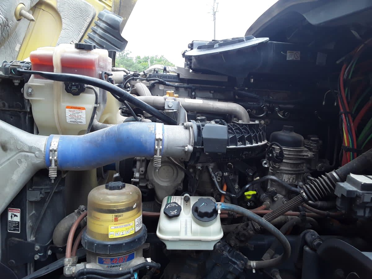 2020 Freightliner/Mercedes CASCADIA 125 880875