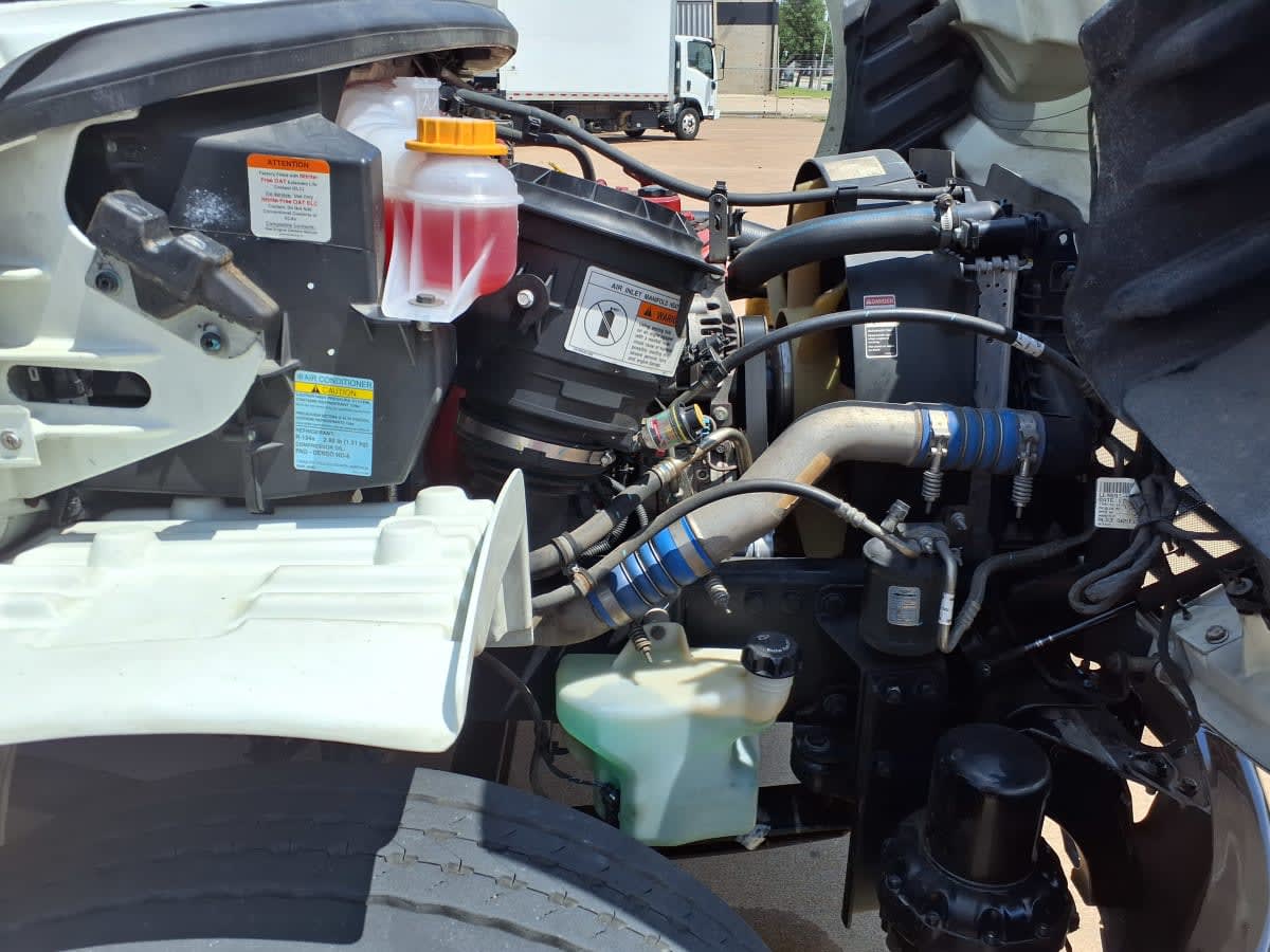 2019 Freightliner/Mercedes M2 106 880883
