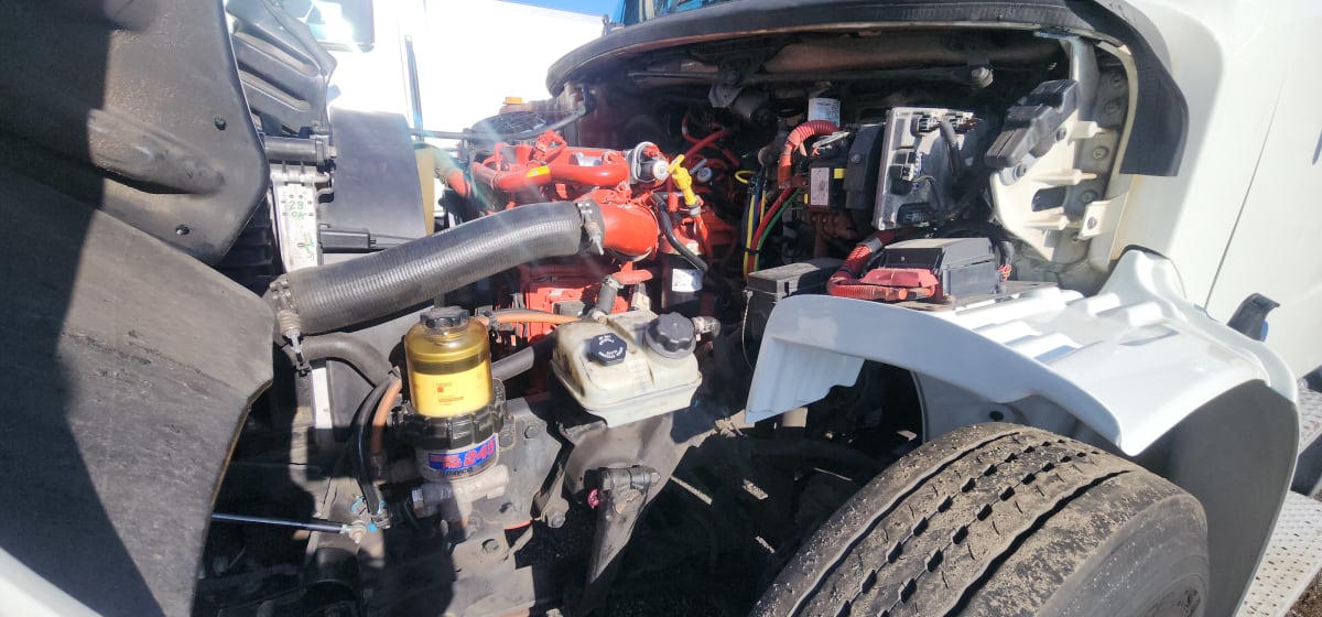 2019 Freightliner/Mercedes M2 106 880930