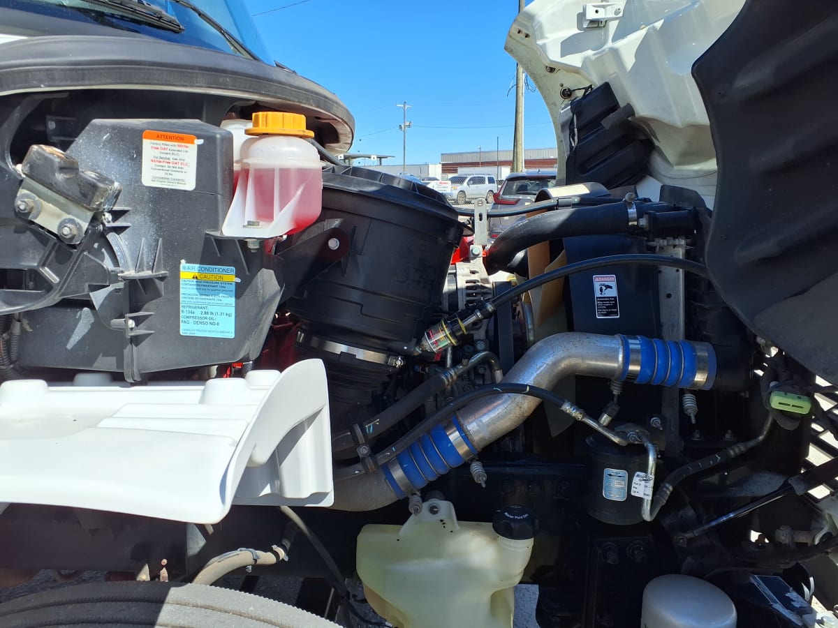 2020 Freightliner/Mercedes M2 106 880989