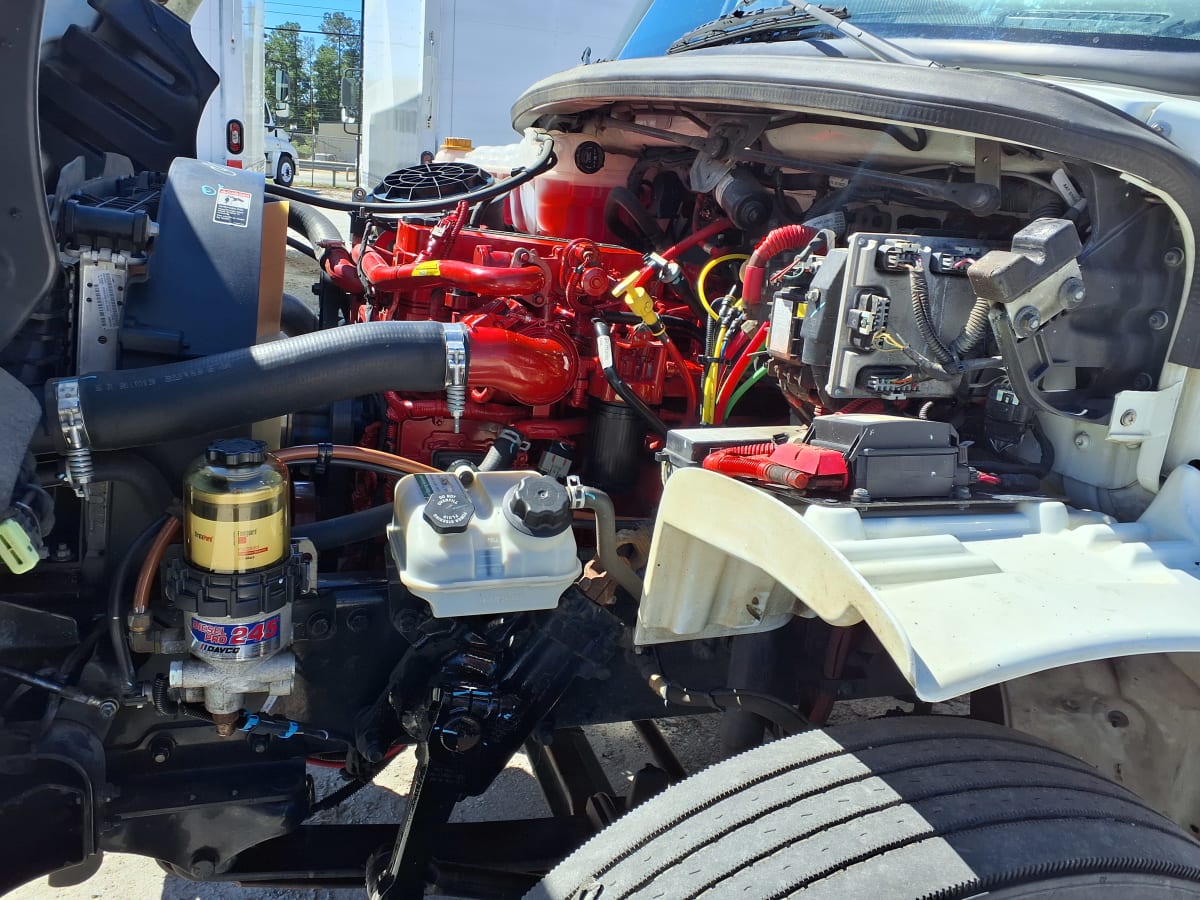 2020 Freightliner/Mercedes M2 106 880989