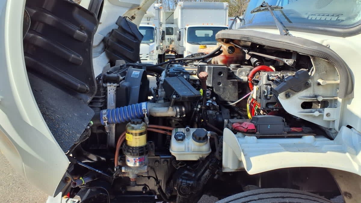 2019 Freightliner/Mercedes M2 106 881011