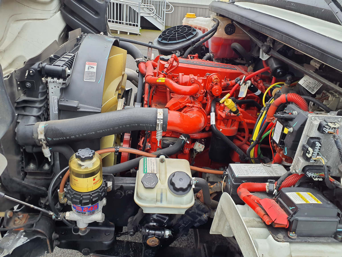 2019 Freightliner/Mercedes M2 106 881072