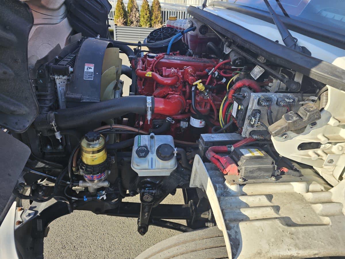2019 Freightliner/Mercedes M2 106 881073