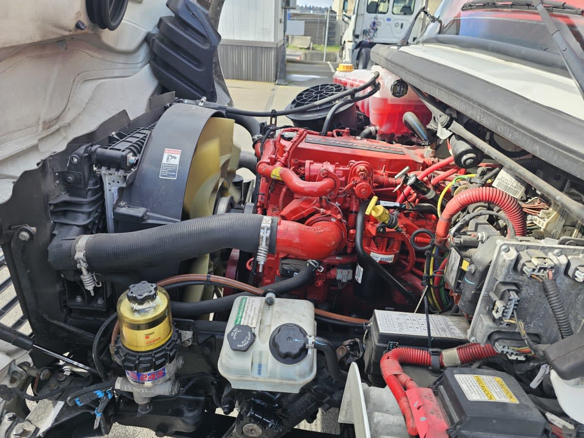 2019 Freightliner/Mercedes M2 106 881077