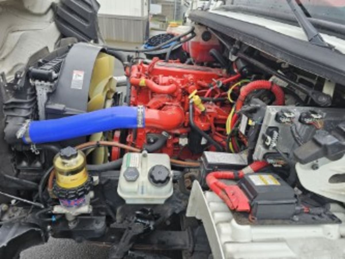 2019 Freightliner/Mercedes M2 106 881078