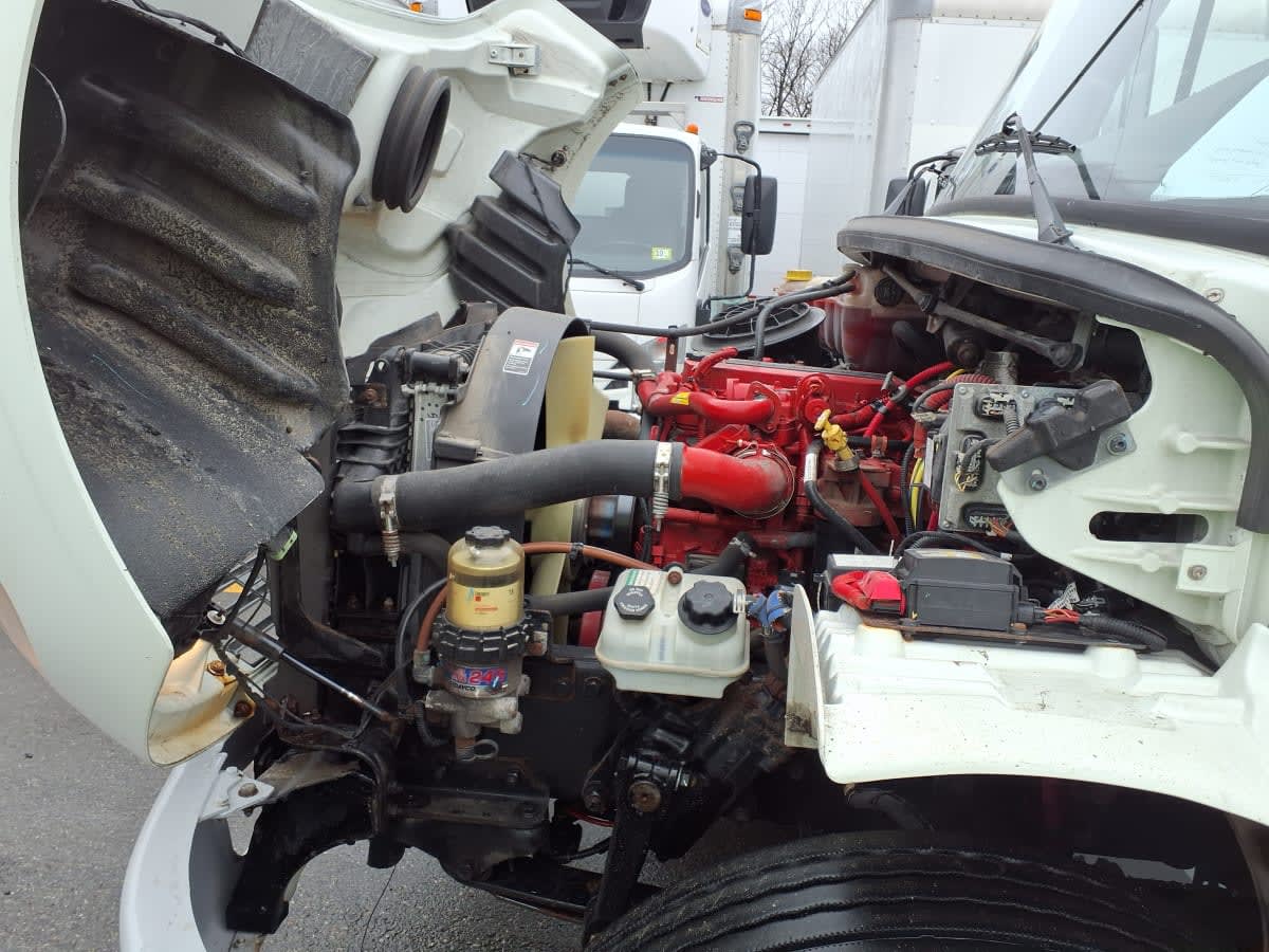 2019 Freightliner/Mercedes M2 106 881212