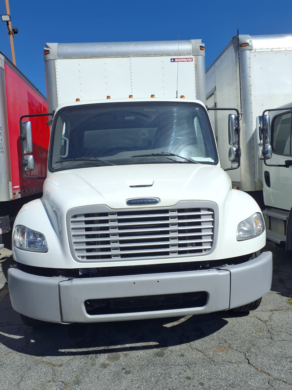 2019 Freightliner/Mercedes M2 106 881353