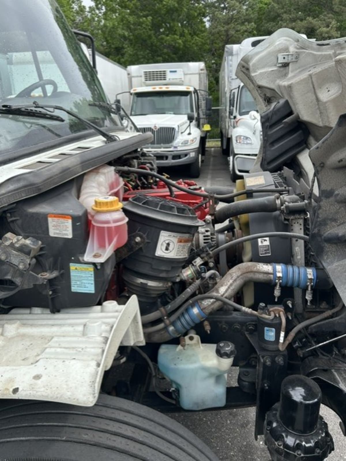 2019 Freightliner/Mercedes M2 106 881572