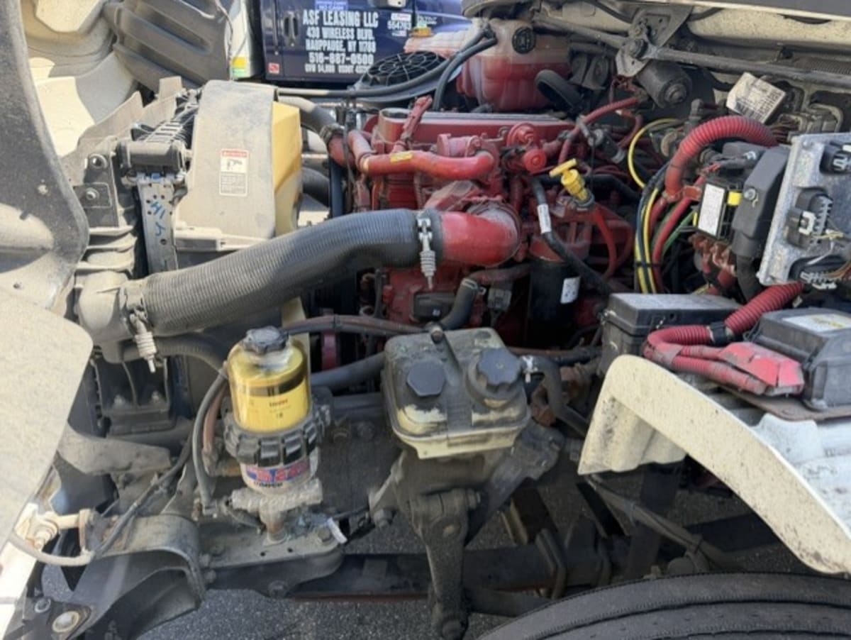 2019 Freightliner/Mercedes M2 106 881574